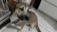 LInda