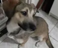LInda