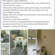 princesa