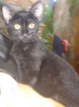 Bolinha