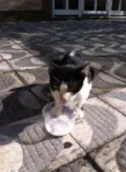 Mimi