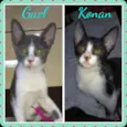 Gael e Konan