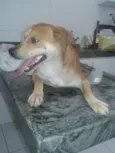 Fulgencio