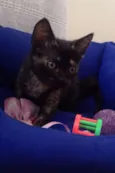 Nina