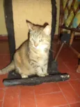 Mia