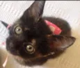 Nina