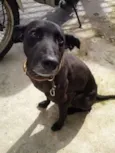 NEGÃO