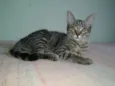 Milly