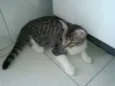 Billy