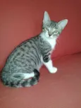 Billy