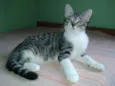 Billy