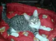 Billy