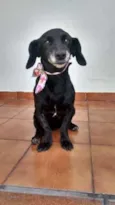 Nina