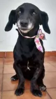 Nina