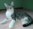 Billy