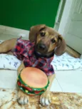 CHICO