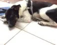Moçinha