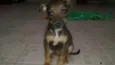 Chiquinha