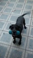 BOB