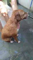Doris