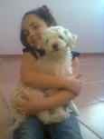 bolinha