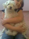 bolinha