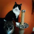 José e Mel