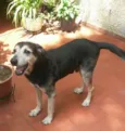 Negrinho 
