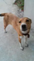 Nina