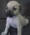 sem nomes