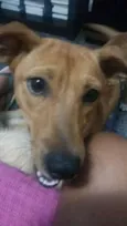 Lua