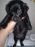 indefinido 