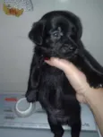 indefinido 
