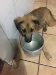 Nina