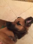 Nina
