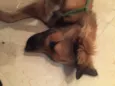 Nina