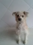 Mel