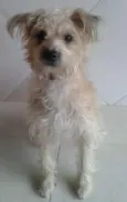 Mel
