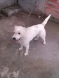 Marley