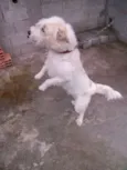 Marley