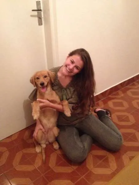 Cachorro ra a SRD idade 2 a 6 meses nome JUJUBA