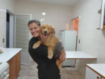 Cachorro ra a SRD idade 2 a 6 meses nome JUJUBA