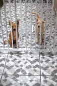 jady e Ruby