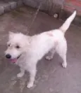 Marley