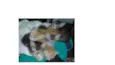 sem nome