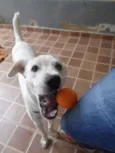 Billy