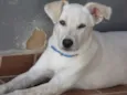 Billy