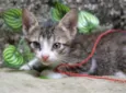 George