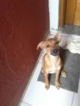 nina