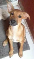 nina